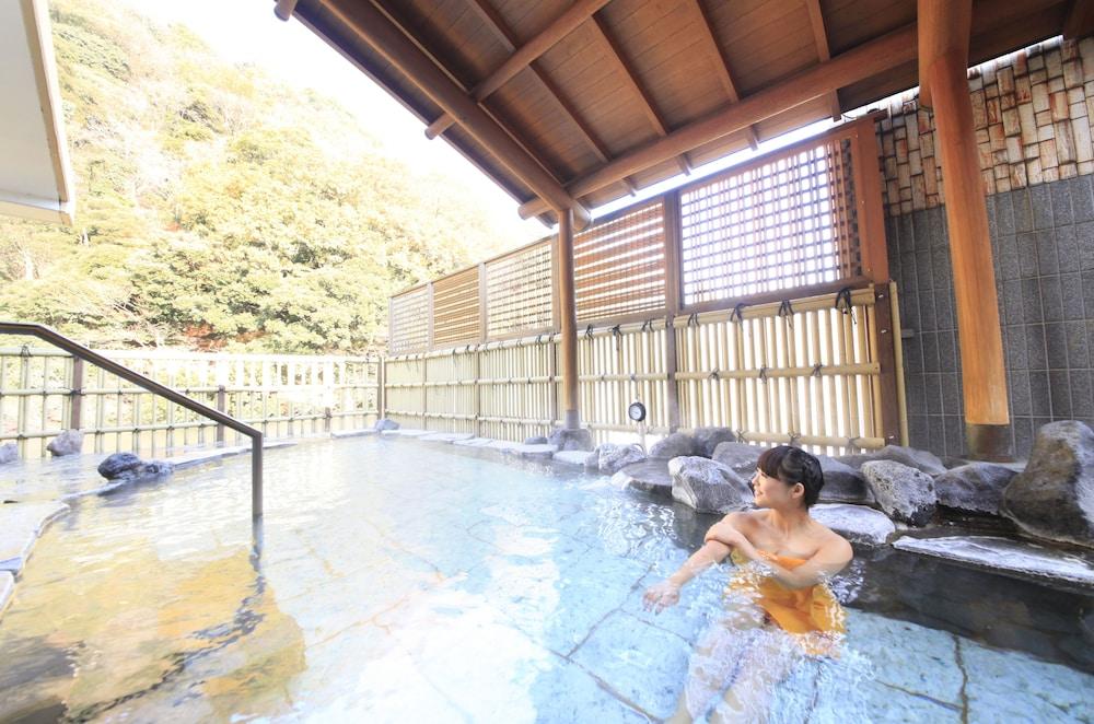 Pax Yoshino 傳統日式旅館 Hakone
